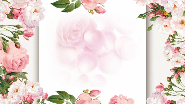 Фон для открытки вертикальный с розами
