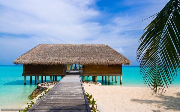 Мальдивы, океан, пальмы, бунгало