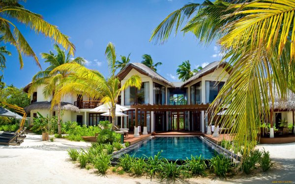 Мальдивы виллы и пальмы