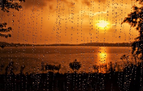 Дождик и солнце