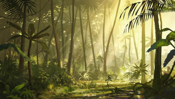 Тропический джунгли в Вьетнаме