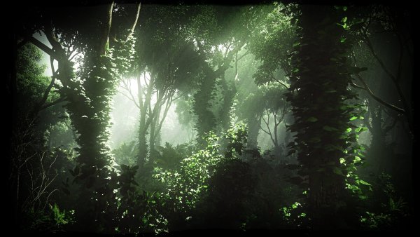 Ночные джунгли