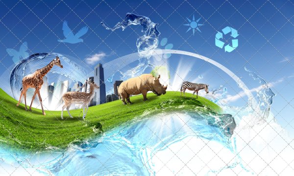 Животные и окружающая среда