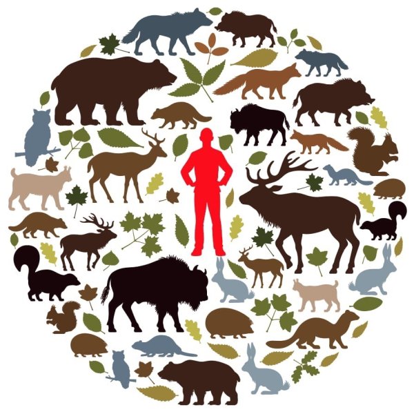 Экология защита животных