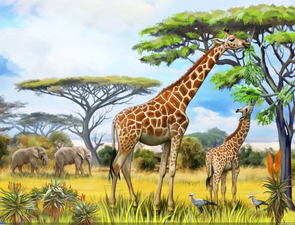 Пейзаж с жирафом