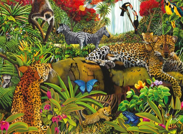 Тропический лес животные