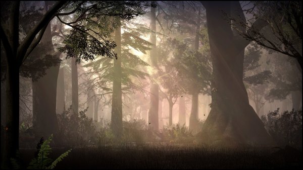 Half Life 2 туманный лес