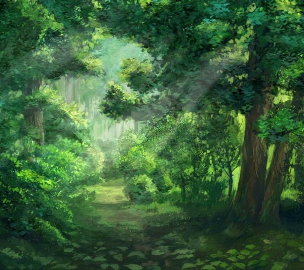 Лес из аниме