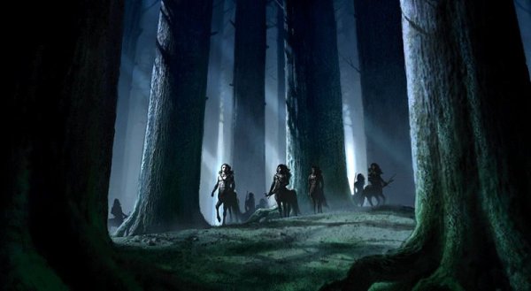 Гарри Поттер заколдованный лес