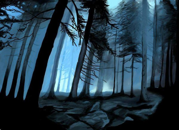 Зачарованный лес Гарри Поттер