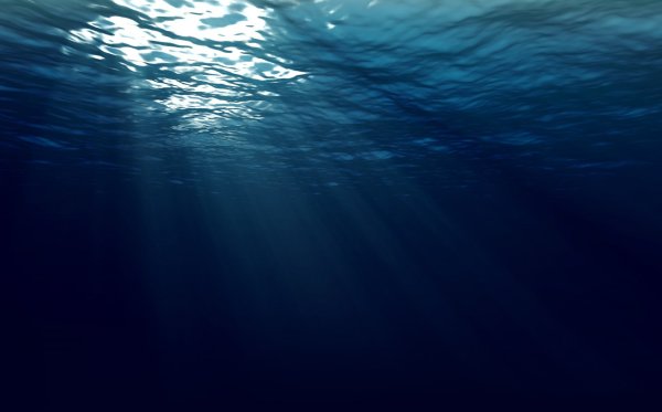 Океан под водой