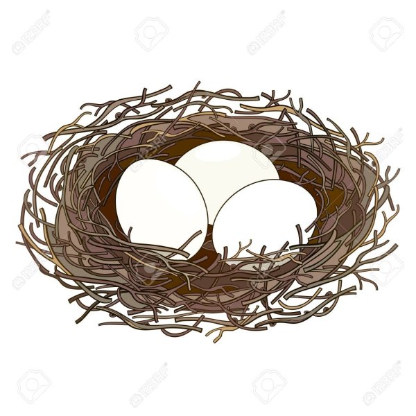 Гнездо с яйцами на белом фоне