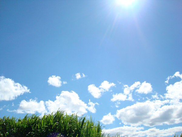Голубое небо и солнце