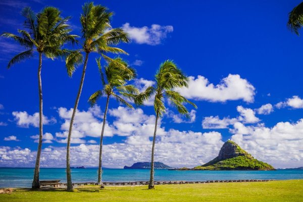 Штат Гавайи природа