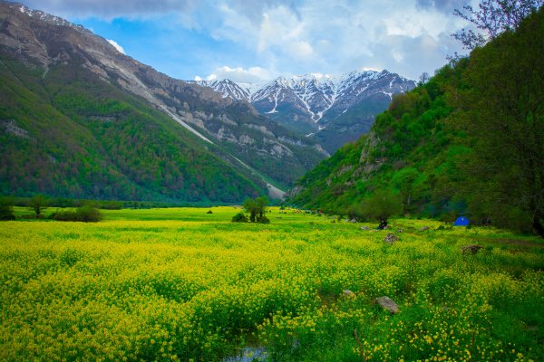 Альпийские Луга Таджикистана