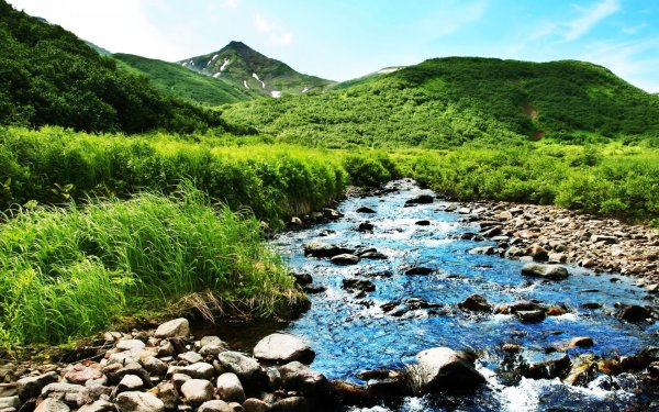Река ручей Республика Алтай