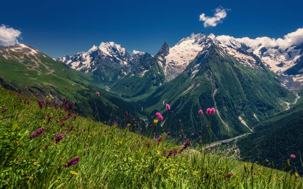 Фон горы кавказа