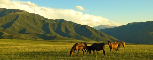 Степи и горы Казахстана