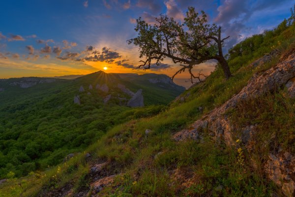 Агармышский лес в Крыму