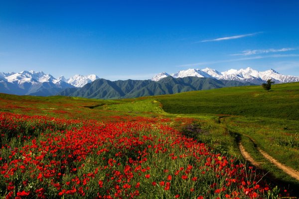 Таджикистан горы Тянь Шань