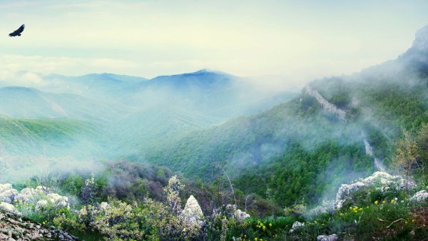 Пейзаж горы туман