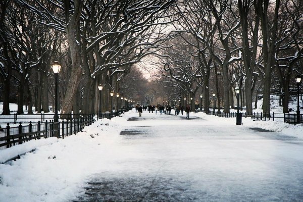 Централ парк Нью Йорк зима
