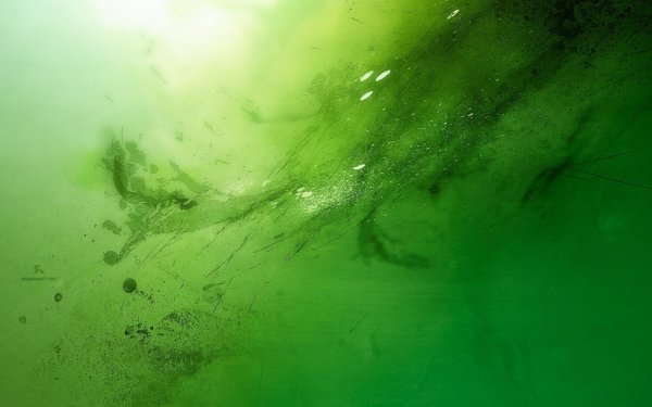 Зеленая мутная вода