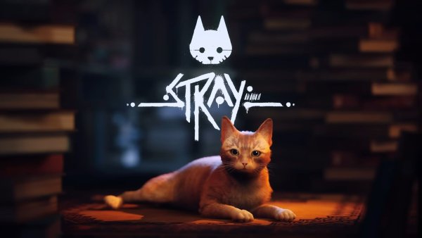 Stray Cat игра