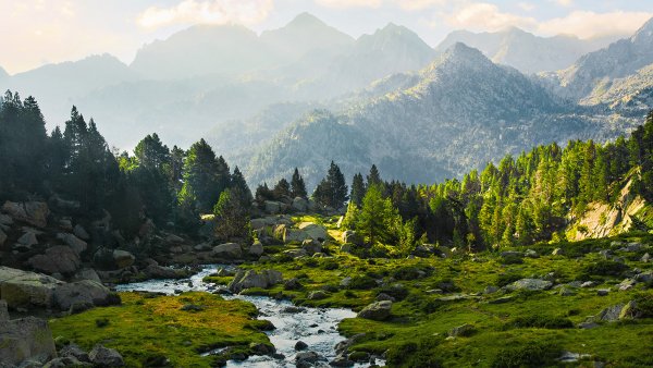 Франция Пиренеи горные леса