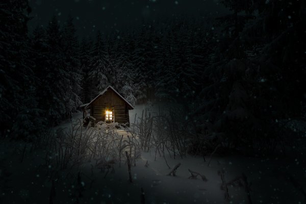 Домик в ночном лесу