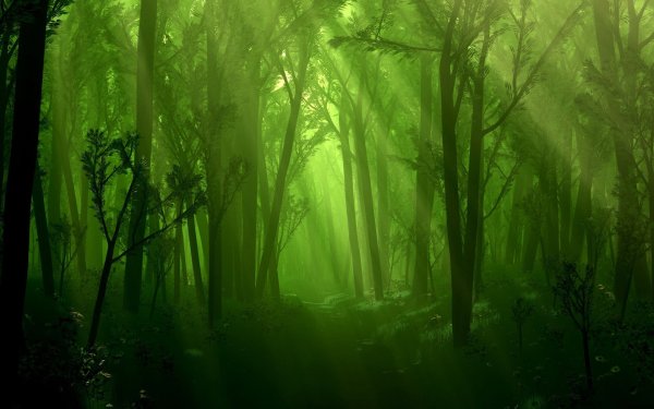 Грин таинственный лес
