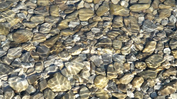 Дно реки камни