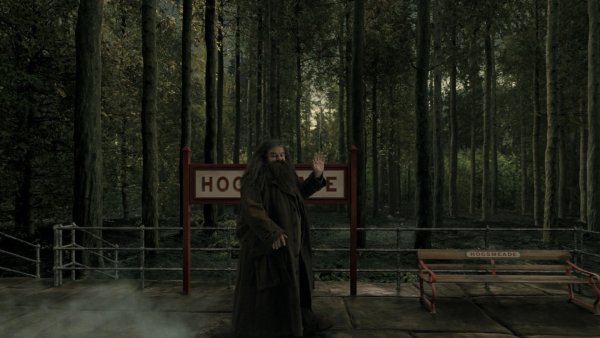 Тёмный лес Гарри Поттер