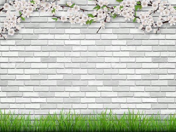 Цветы на фоне белой кирпичной стены