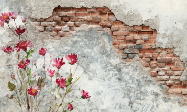 Цветы на фоне кирпичной стены