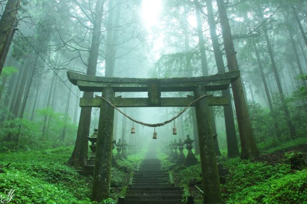 Синтоистский храм в Японии в лесу арт