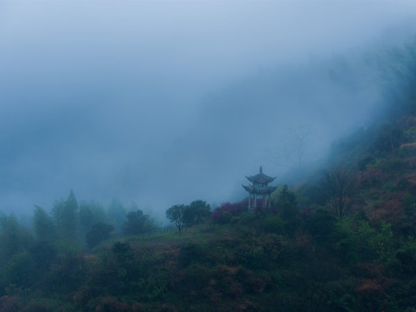 Китай лес древна