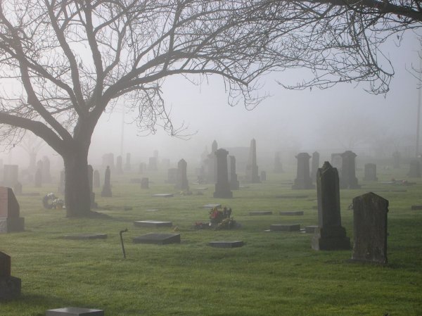 Кладбище референс могилы
