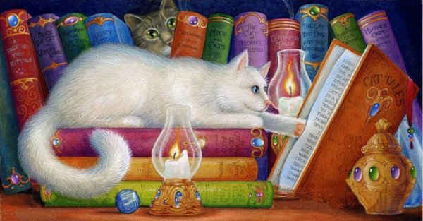 Фон книги и кот