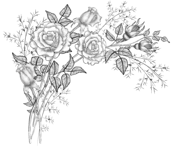 Орнамент розы