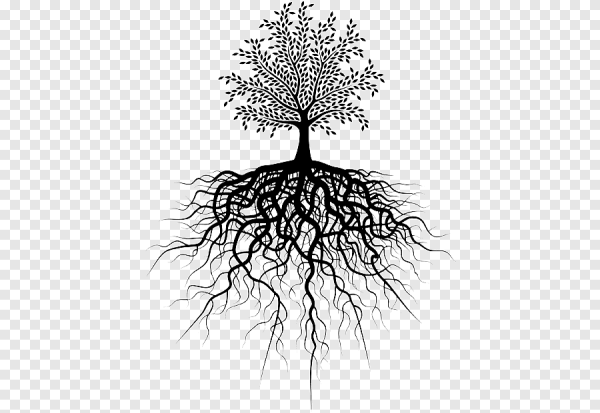 Дерево с корнями силуэт