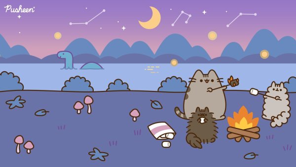 Обои на рабочий стол Pusheen Cat