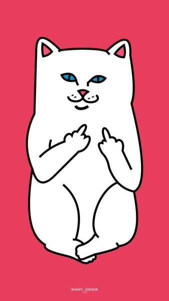 Котик показывает средний палец