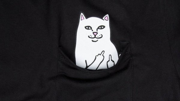 RIPNDIP кот