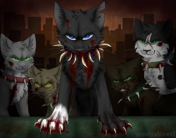 Коты Воители кровавое племя