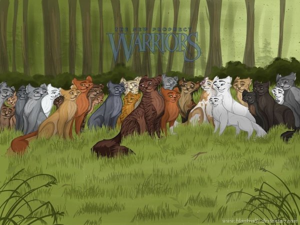 Коты Воители арты лагерь грозового племени