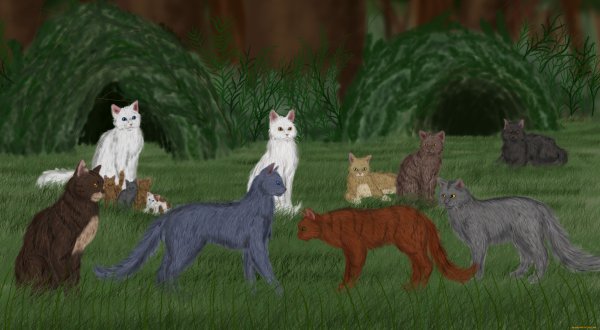 Коты Воители коты грозового племени