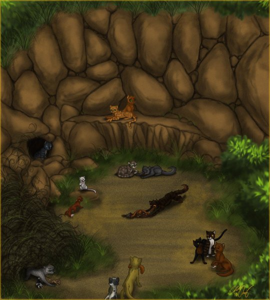 Коты Воители пещера воинов