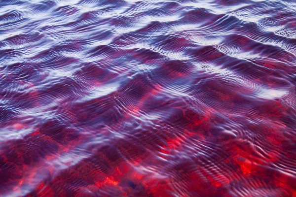 Красное море красная вода