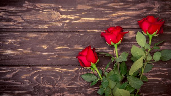Фон красные розы вертикальный